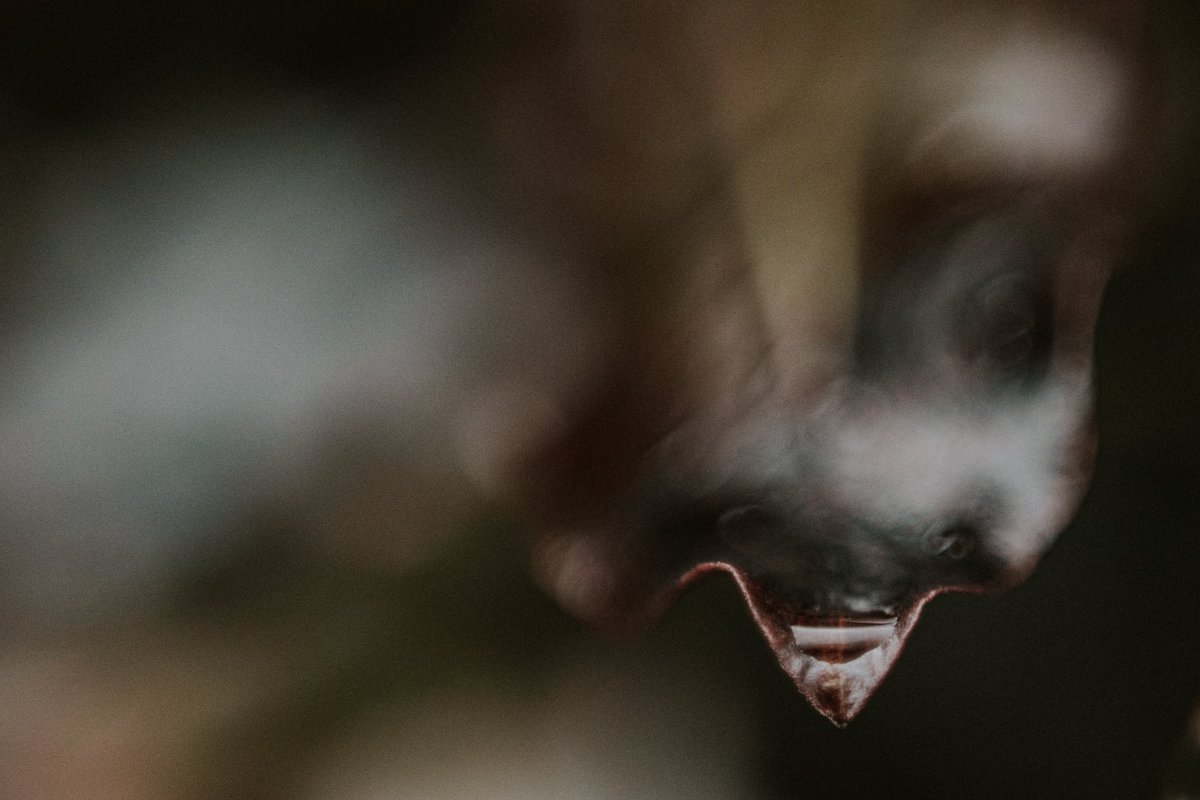 Sinéad Patching tweet media