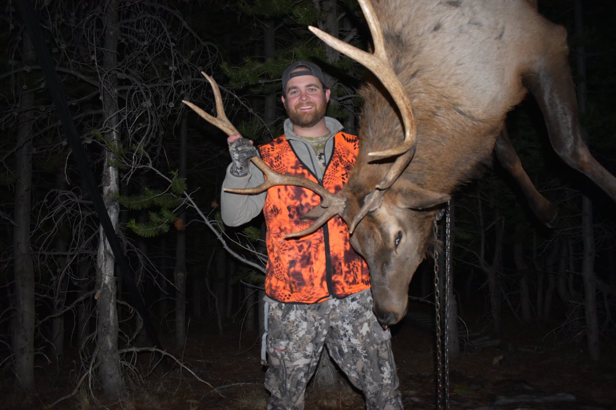 Wingedwheel88's tweet photo. Scored in Montana #firstelk https://t.co/1RKmkCqrgw