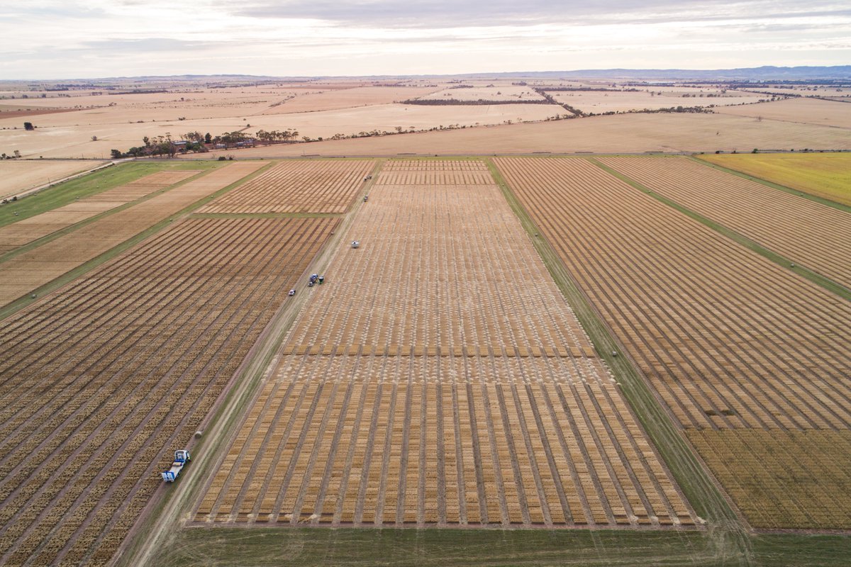 James Walter tweet media