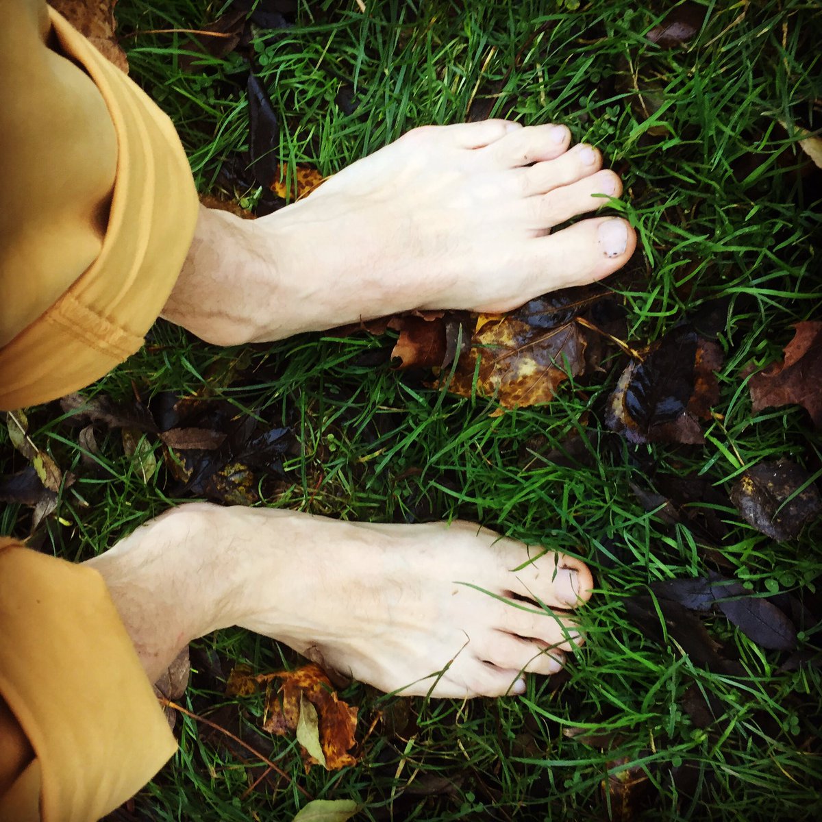 MikeFarrow's tweet image. Still barefoot in November, feeling the healing ❤️ #barefoot #healing