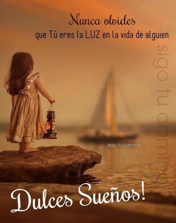 M. Jesús Sáez de Alb tweet media