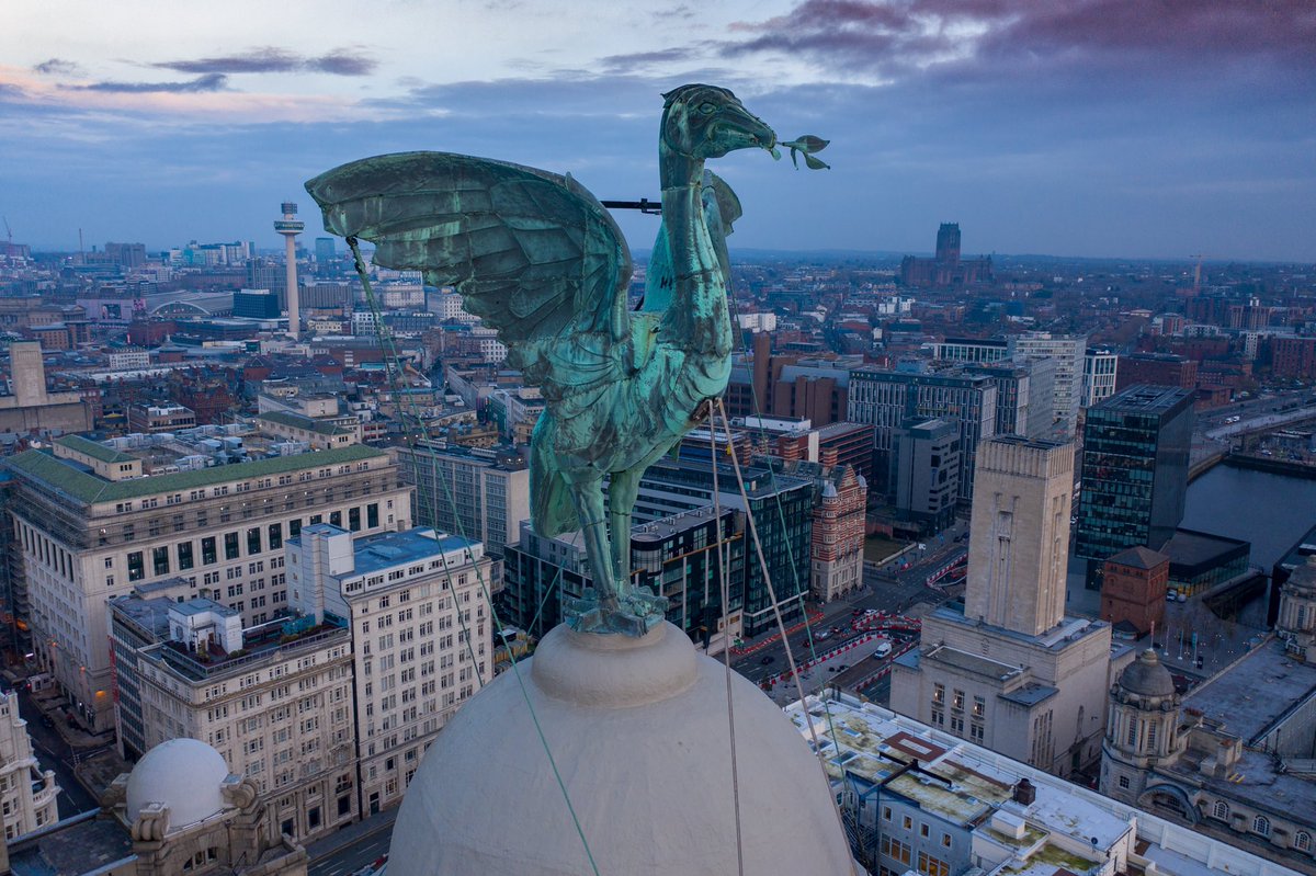 Bella watching the sun setting over The Wirral. 

#dronephotography #aerialfilming #aerialphotography #liverbird #liverpool #liverbuilding #droneoperator #dronepilot #inspire2 #pfco #liverpoolcitycentre #droneservices #drone