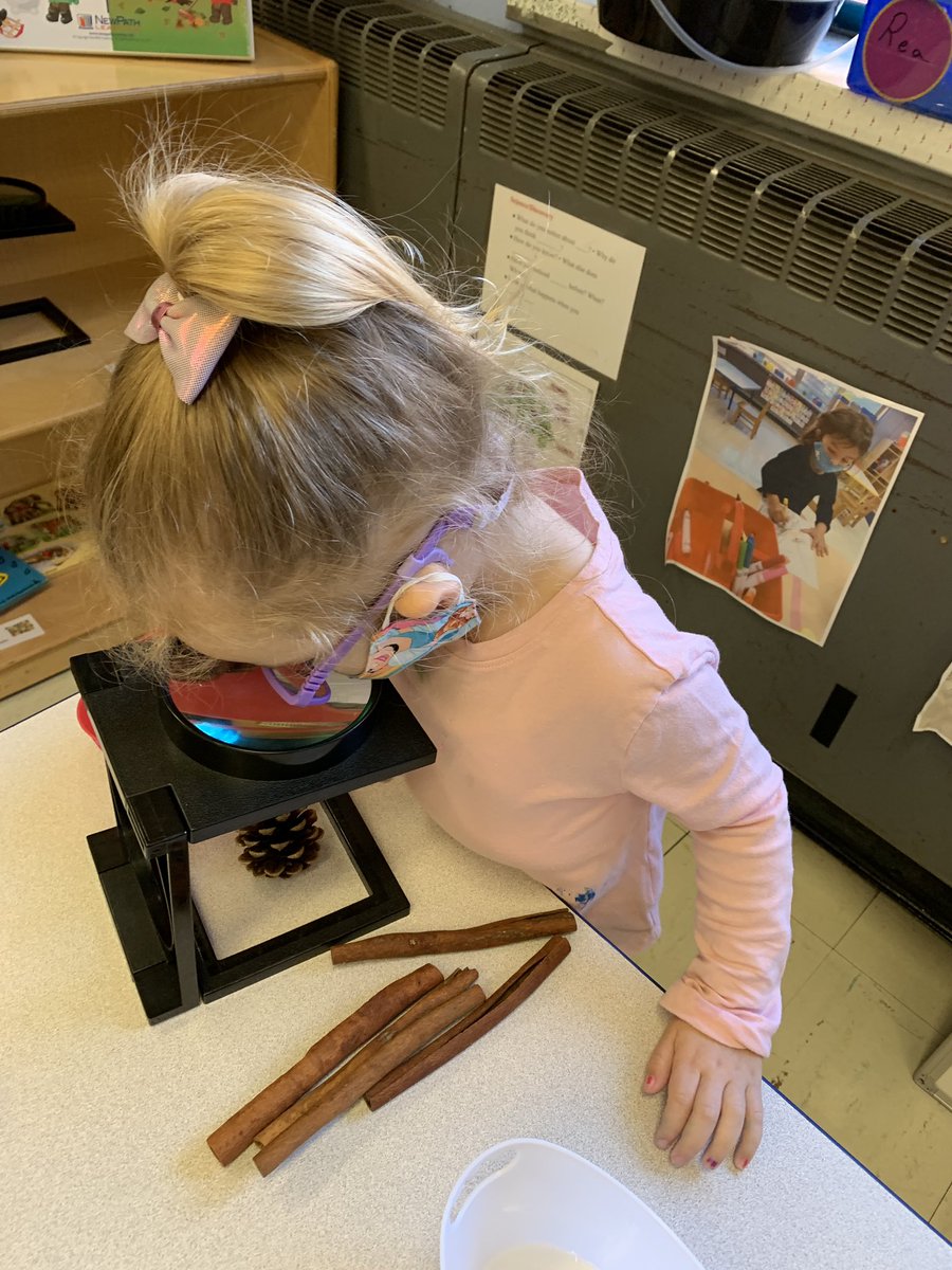 MsJessica_SBES's tweet photo. Tree Unit- We explored Pine trees and learned that we can find pine cones on the tree! We used pine cones to paint and used descriptive words to explain how the pine cones felt! We used magnifying glasses to enhance size and legos to build different trees in the book, Tree Count. https://t.co/SV7nDy8TKV