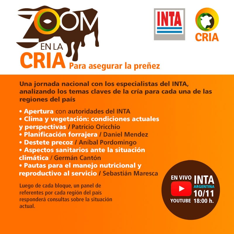 intaargentina's tweet photo. #EnVivo 🔴| Con zoom en la #cría. Para asegurar la preñez

Súmate ahora: https://t.co/aJCar8FCBQ https://t.co/SymESNLwZZ