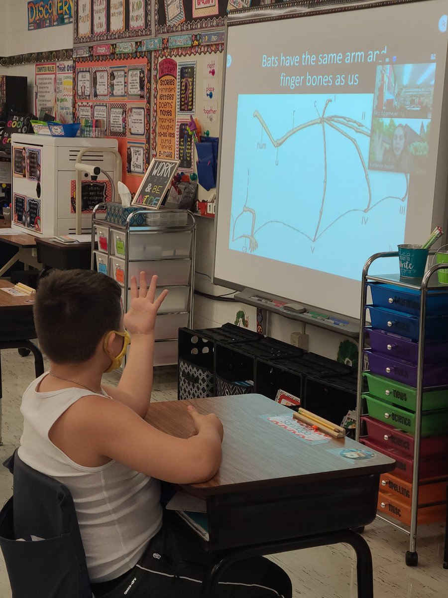 iwes2a's tweet photo. Thank you, bat biologist Dr. Katherine, for the #skypeascientist presentation today! We learned lots of fun facts about bats and their adaptations #iwesraiders #iwraiders https://t.co/xQA6dIpxZ0