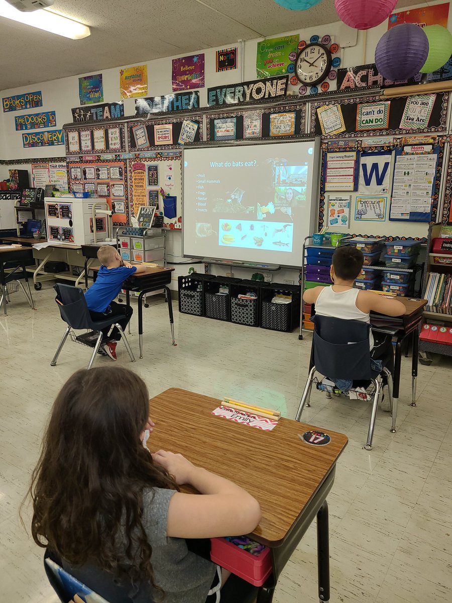 iwes2a's tweet photo. Thank you, bat biologist Dr. Katherine, for the #skypeascientist presentation today! We learned lots of fun facts about bats and their adaptations #iwesraiders #iwraiders https://t.co/xQA6dIpxZ0