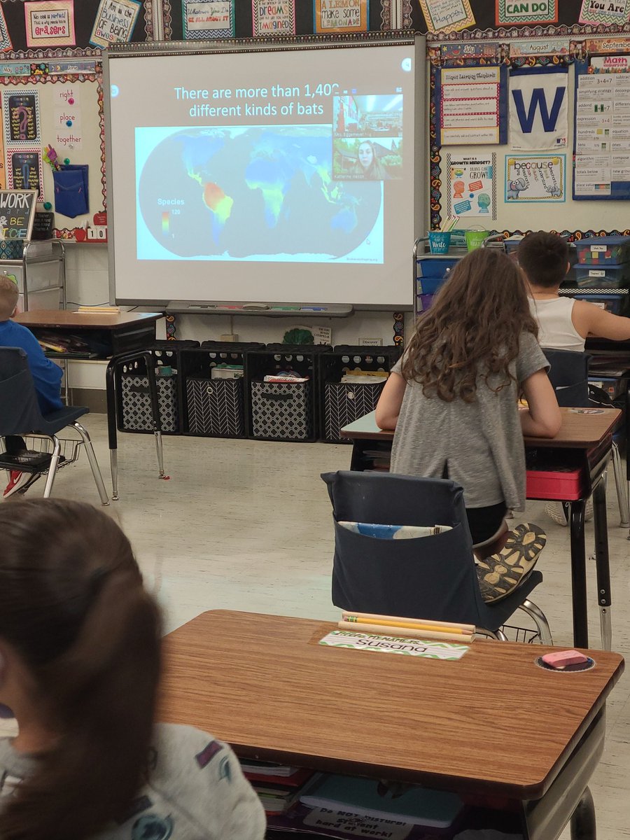 iwes2a's tweet photo. Thank you, bat biologist Dr. Katherine, for the #skypeascientist presentation today! We learned lots of fun facts about bats and their adaptations #iwesraiders #iwraiders https://t.co/xQA6dIpxZ0