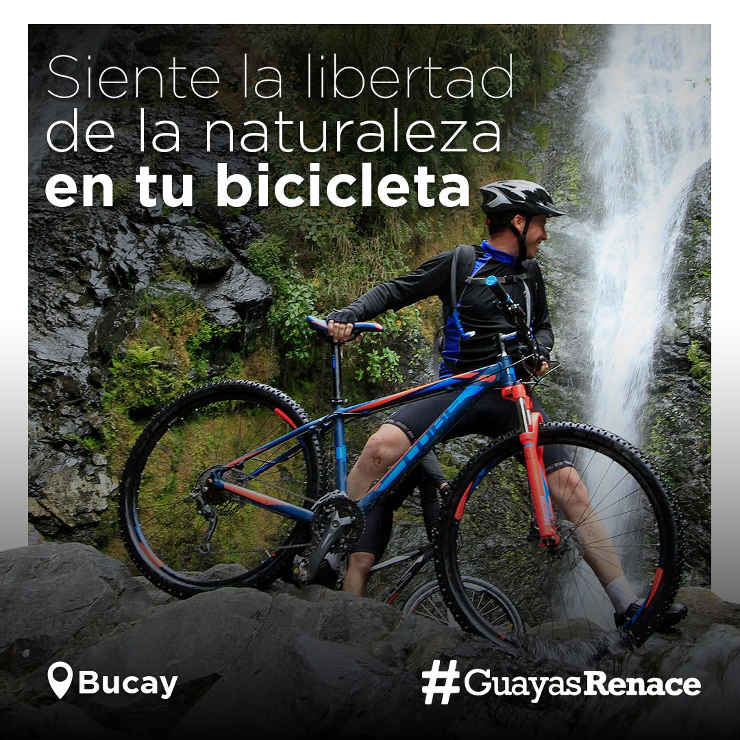 guayasrenace's tweet photo. ¡Vivir nuestra provincia en dos ruedas es una aventura de otro nivel! 
Escápate en bicicleta por el #Guayas y conéctate con la naturaleza.
#GuayasRenace https://t.co/hqQOubEQNK