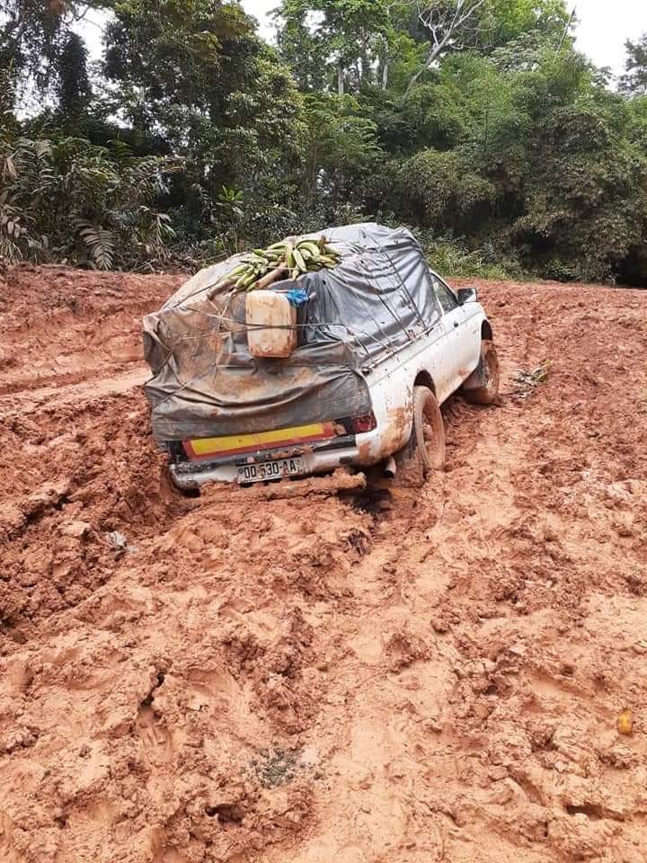 Africainlibr's tweet photo. Le Gabon : cas à  sérieusement étudier dans les très grands laboratoires d'Economie. 8.000 $ de revenu par tête de pipe... et voilà la route principale. Voici la 
#Transgabonaise et l'émergence 
@ChogPyssame 
@GY_MAO_ 
@GOMEZUlri 
@_CGRi 
@des_sand 
@ELagoke 
@Cosa76 
@HKNX https://t.co/Kv3a6UPG6J