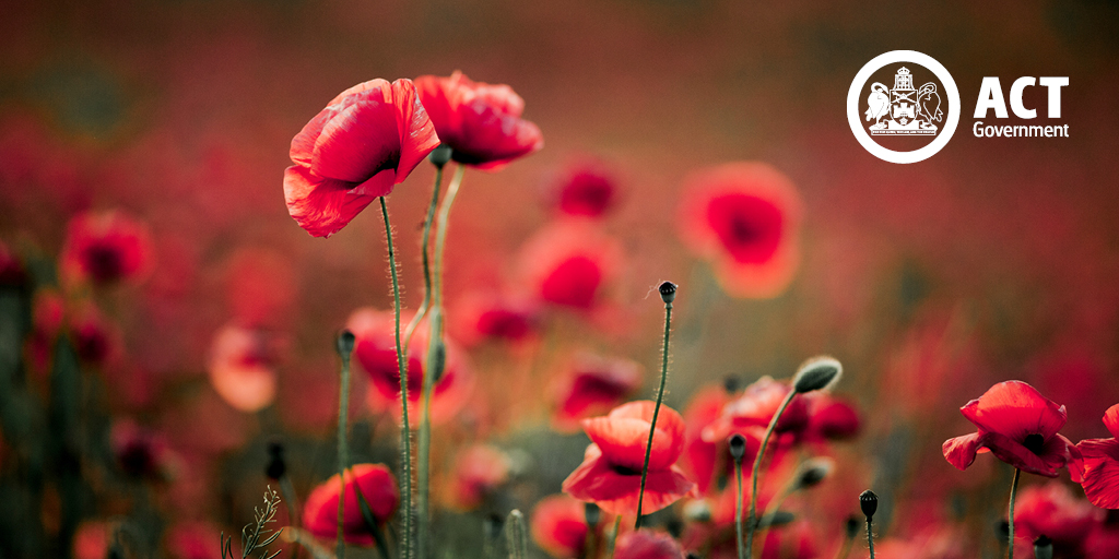 At 11am on November 11, Australia observes one minute’s silence in tribute to those who have served and are still serving in our defence forces and remember those who have died or suffered in conflicts, wars and peacekeeping. This Remembrance Day we honour them. #WeRememberThem