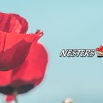 Photo by nestersmarket (@nestersmarket)