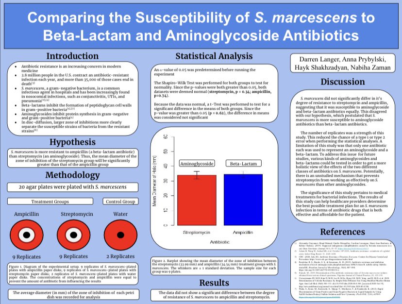 We used ampicillin (a beta-lactam) and streptomycin (an aminoglycoside ) in our experiment with each treatment having 9 replicated. We hypothesized that the bacteria would be more resistant to ampicillin than streptomycin because S. marcescens are gram negative bacterium [2/4]
