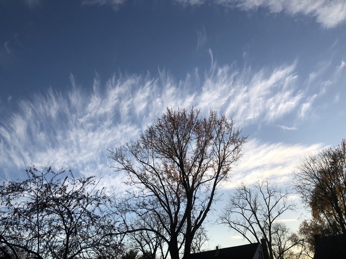 Marta_botturi's tweet photo. Tree clouds #americansky https://t.co/pJhChkHPJR