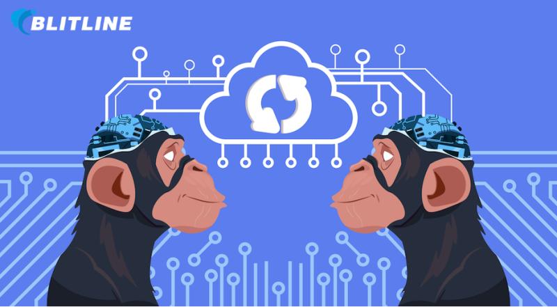 Blitline's tweet image. Is Five Monkey Syndrome in your DAM system? Check out @Blitline's guest post from @DAMNEWS to see if you need to rethink how your #DevOps team supports #imageprocessing & #fileprocessing in your #digitalassetmanagement system. blog.blitline.com/is-five-monkey…