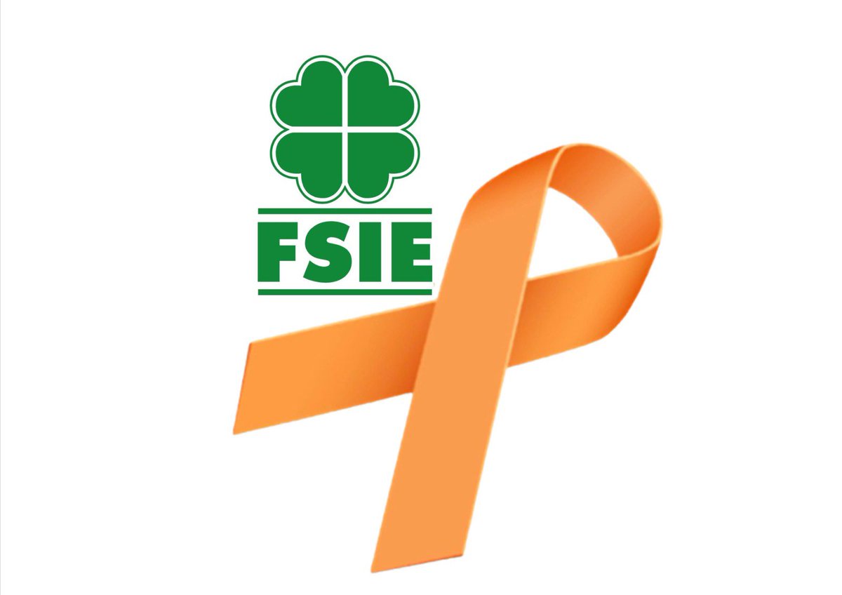 FSIEAndalucia's tweet photo. #StopLeyCeláa #MasPlurales #FSIEtuVOZ #masFSIE https://t.co/4MkpA879eX