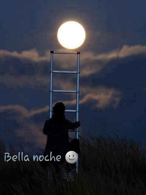 Lore 🇨🇷 tweet media