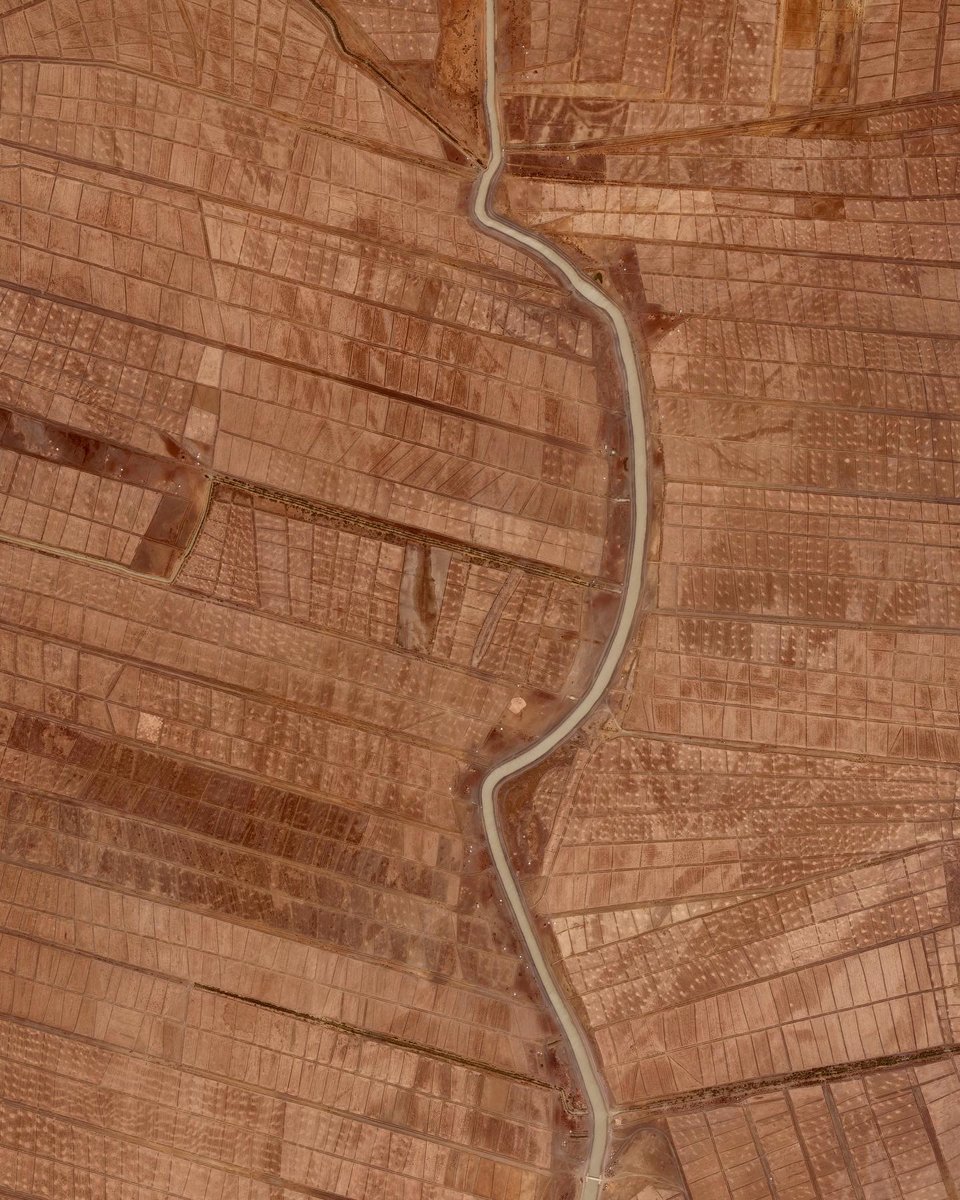 Daily Overview tweet media