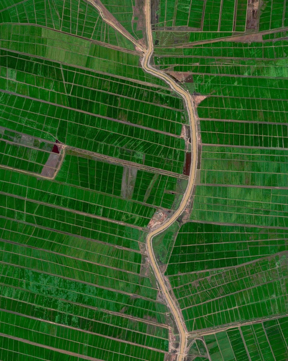 Daily Overview tweet media