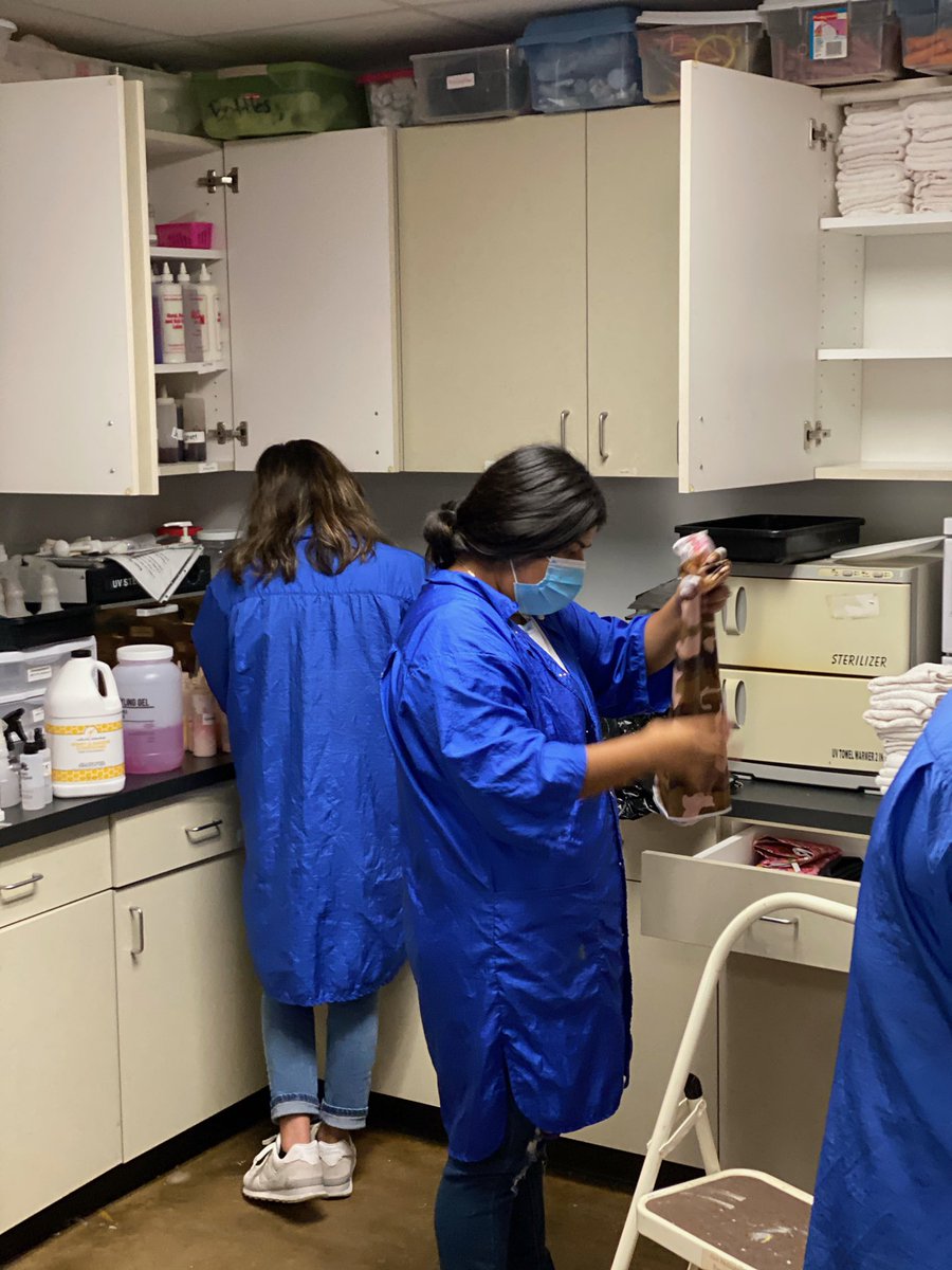 NacISD_CTE's tweet photo. An important responsibility for any business owner is maintaining a clean store for customers. 
Cosmetology students spent a portion of class deep cleaning the cosmo lab by following guidelines for Texas Cosmetology Salons. 

#CleanSalon #HappyClients #NacCTE https://t.co/gGAAaVaQCL