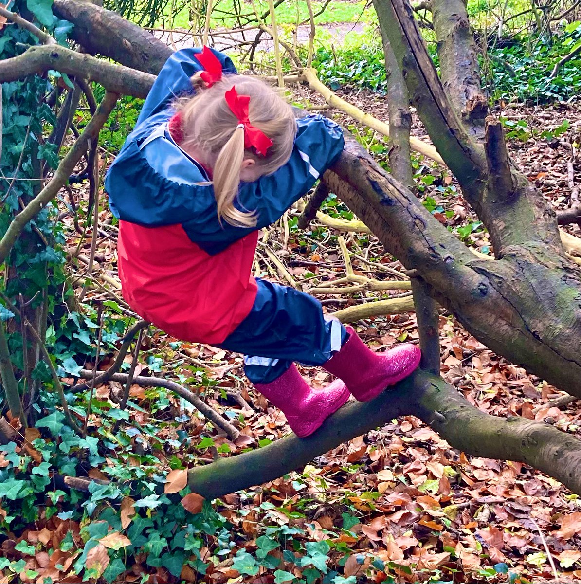 the_ECCC's tweet photo. Perfect weather for Forest School today. The children showed off their skills in climbing trees, making dens and balancing along the logs. All rounded off with hot chocolate and a sneaky chocolate biscuit! #outdoorlearning #forestschool #physicalfun https://t.co/T8cayO2Nfj
