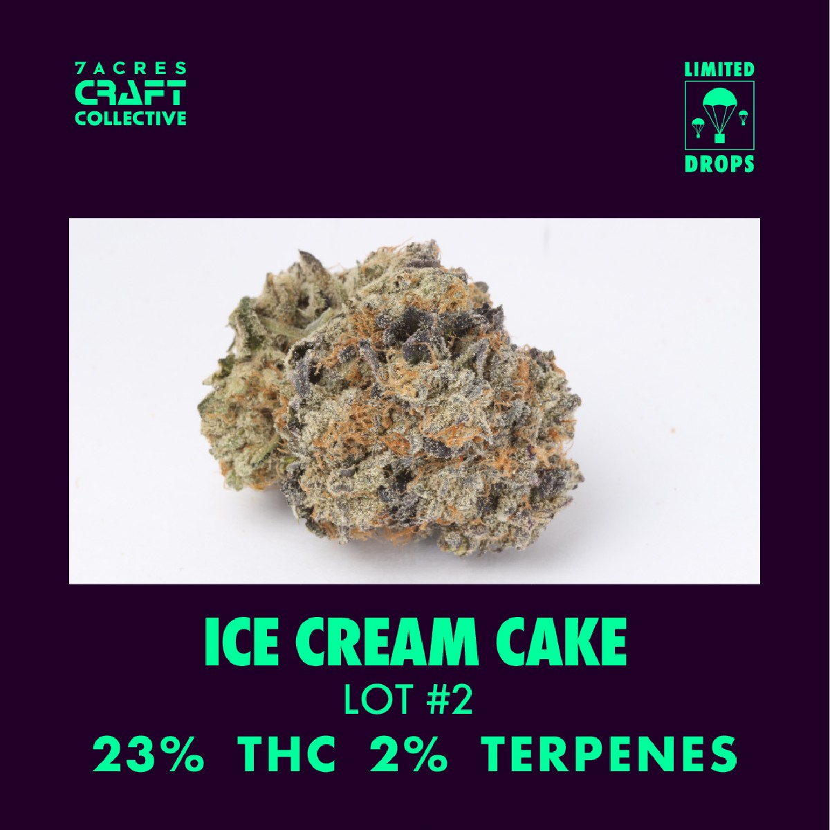 7ACRESmj's tweet photo. Ice Cream Cake has landed - again. This cultivar is caked in milky white trichomes and exhibits notes of creamy vanilla, sweet lemon and doughy cake. Exclusively dropped in Ontario.
Buy here: https://t.co/I1iTwATeXf
#7ACCC #IceCreamCake #craftcannabis #cannabis https://t.co/OskudAM22G