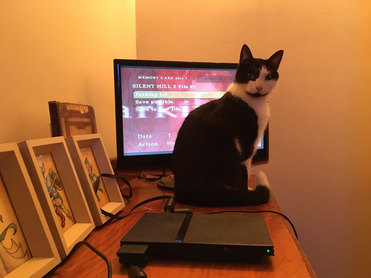 TomyandtheBeast's tweet photo. Come on cat. I need to save my dead wife. Or the woman who looks like her living corpse. #silenthill #loudcat https://t.co/ouMdVUXICU