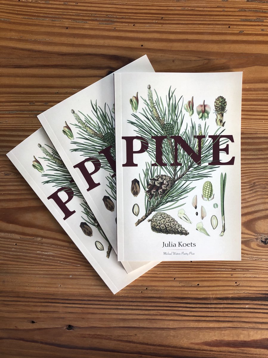 Julia Koets tweet media