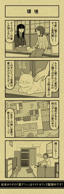 今日の4コマ
#星デミPLUS 