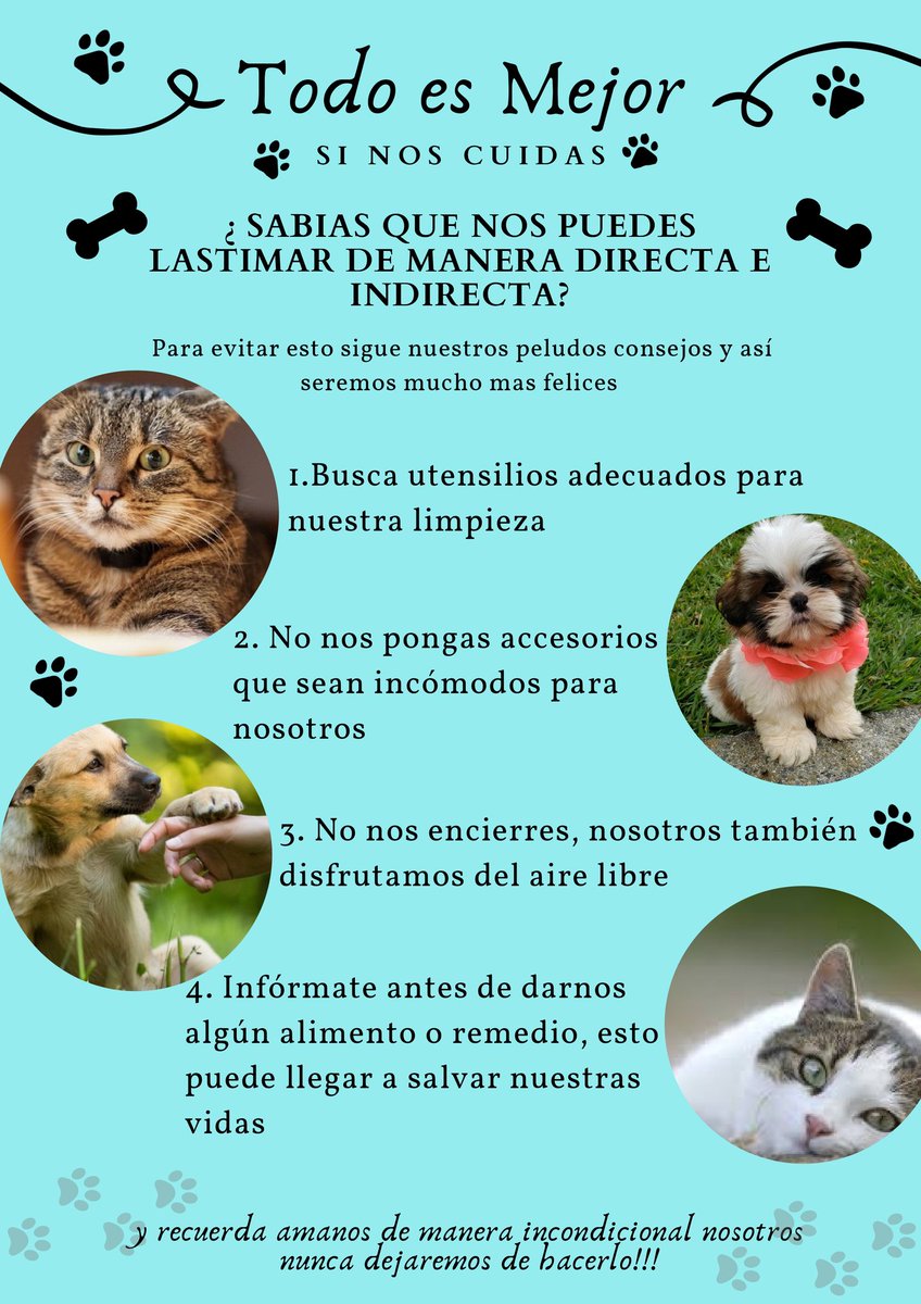 museolasalle's tweet photo. #MLSComparteContigo #EventosMLS #lasalleedagarra

Nuestros amigos de la electiva "Animales y Humanos: la diferencia", nos comparten algunos datos importantes para tener en cuenta con nuestras mascotas. Aquí te compartimos una cápsula educativa✨ https://t.co/XOAMs7lELT