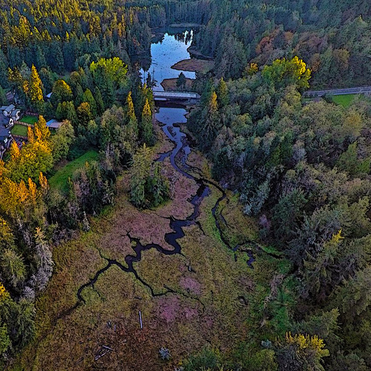 Stillwaters Env Ctr tweet media