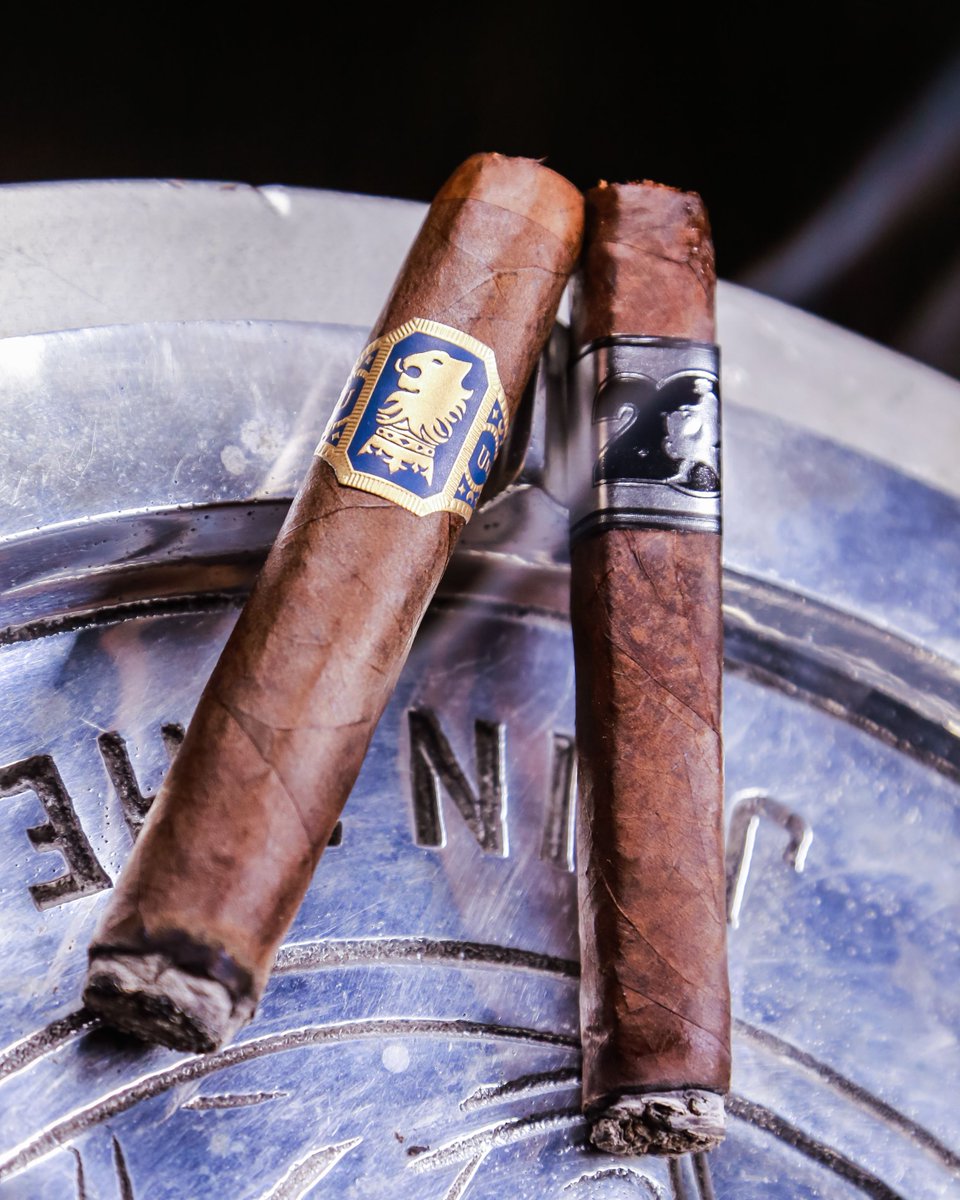 Experience ACID tweet media