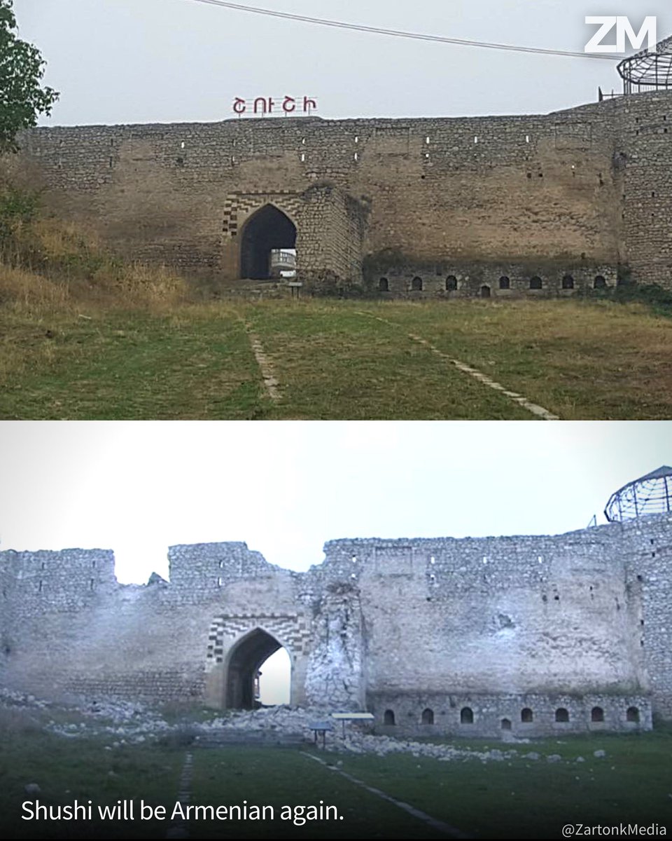 Zartonk Media tweet media