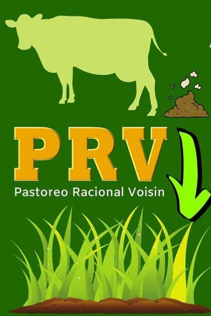 HermanPnf's tweet photo. #ProgramaSIPAGAN🇻🇪
El proceso de Pastoreo Racional Voisin, permite ir aumentando el contenido de materia orgánica en el suelo. Esto aumenta la retención de humedad y la fertilidad.
El PRV es la práctica más efectiva para secuestrar Carbono de la Atmósfera
@EcoplanetZ
@AJjnaveda https://t.co/cSvhbZfwEb