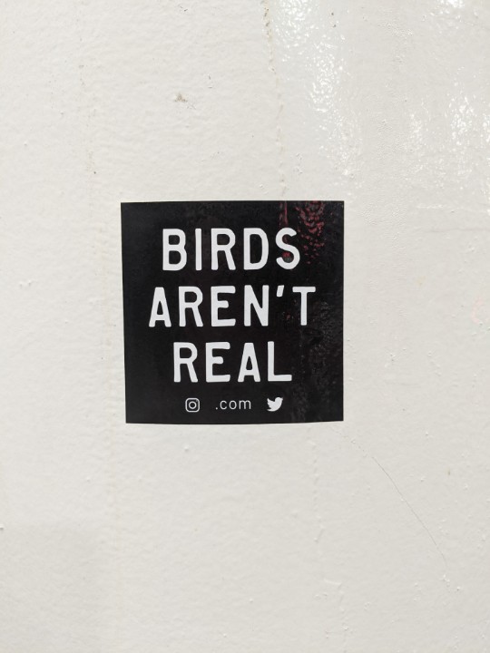 SmileNotShush's tweet photo. I saw this sticker while getting gas, and looked up the site. Apparently the "movement" exists to sell merch and make fun of conspiracy theorists.But what a great example to use for teaching a digital literacy lesson! Not all things are as they seem. 🐦 https://t.co/f6Ltob8sfL
