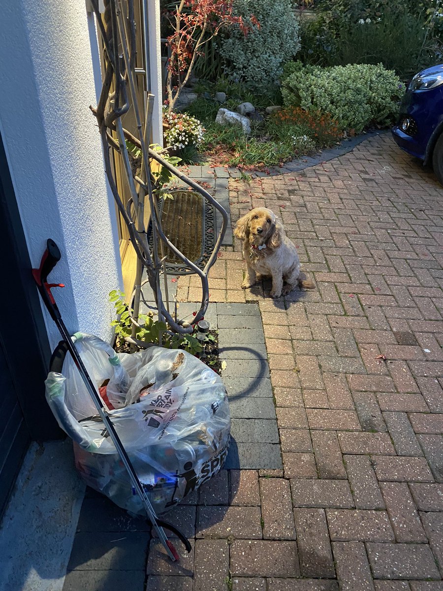 LitterWalton's tweet photo. Winnie and I done a 30 minute litter pick around the street we live on and the parallel road. 4.5kg of junk picked including 9 disposable face masks. #socialdistancing #litterpicking #staysafe #CommitToYourStreet @KeepBritainTidy @ElmbridgeBC @ElmbridgeEcoHub @hshiers @surreyep https://t.co/ozTGVhzvUG