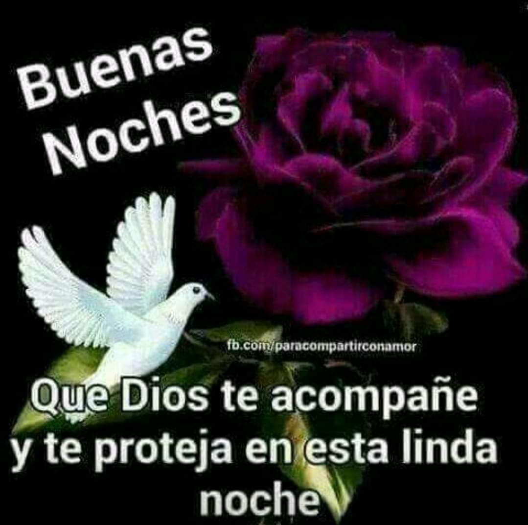 Lore 🇨🇷 tweet media