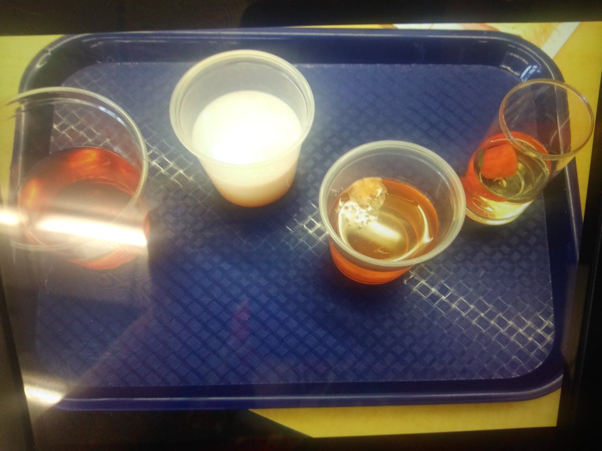 Experiment time with my little ducks! <a href="/OrmondBeachElem/">Ormond Beach Elem</a>. #vcsscience
