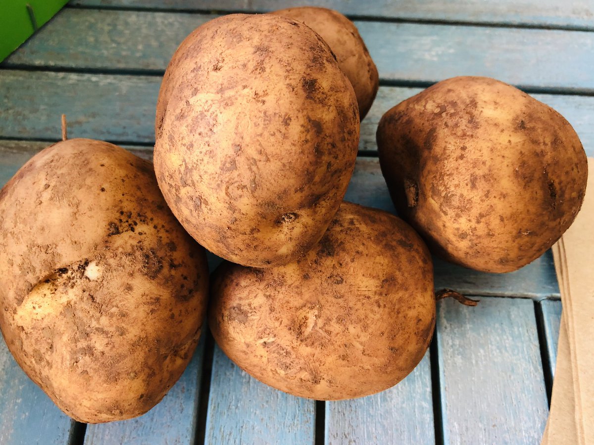 @refillable.shop tweet media