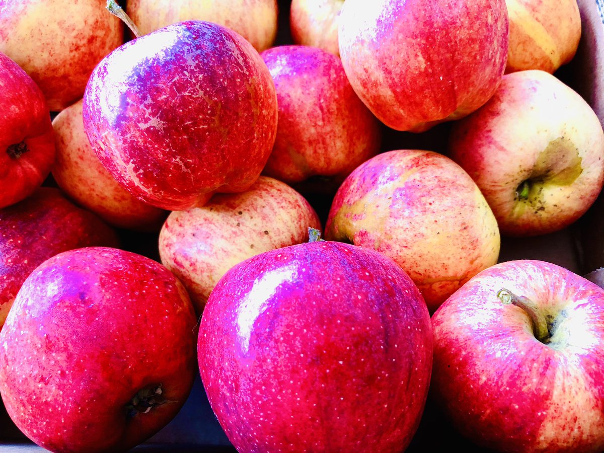 Fresh produce day at Refillable. The range is growing with the latest new addition of beautiful Devon potatoes and British Royal Gala apples. 
#freshproduce #royalgalaapples #goredillable #plasticfree #zerowaste #BATH #bathuk