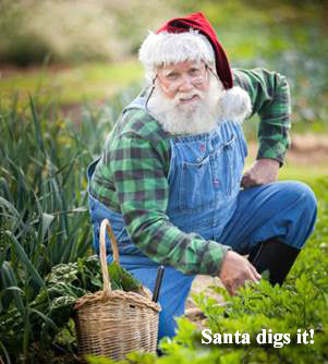 Gifts for Gardeners &amp; Cooks - Shop Here; Ginger &amp; Spice Biscotti Recipe! - mailchi.mp/reneesgarden/g…