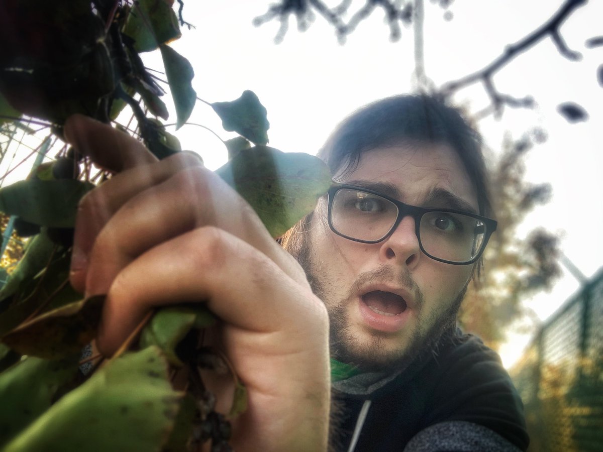 He’s back. #twerkqueen #indieartist