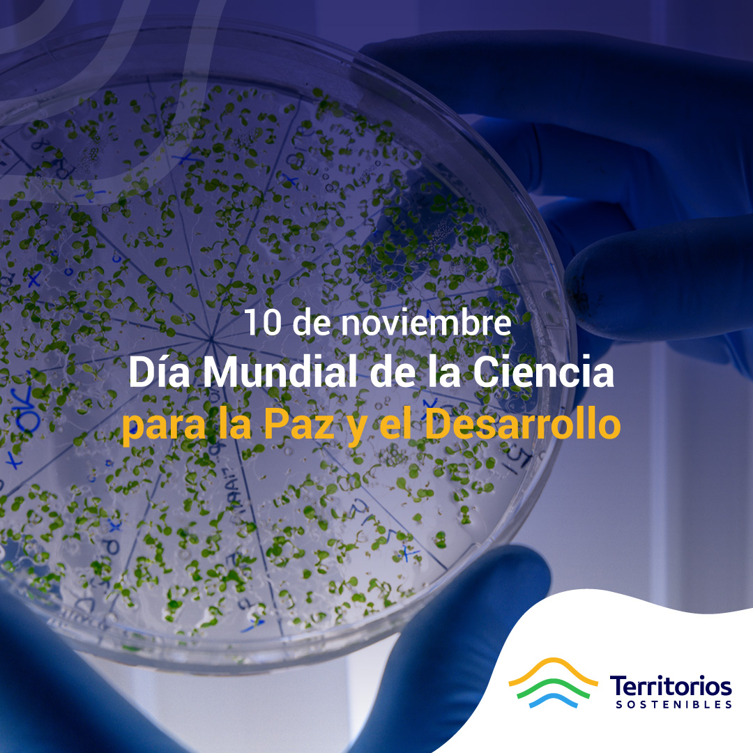 TerritoriosS's tweet photo. #ScienceDay2020 | El mundo requiere hoy más que nunca de una #Ciencia responsable y respetuosa con la dignidad humana y el medioambiente, una ciencia que se encuentre al servicio del bien común y construya un futuro más equitativo y sostenible.
👩🏻🔬🌐 https://t.co/VJsHFmNYYX https://t.co/kddcd9EgPC