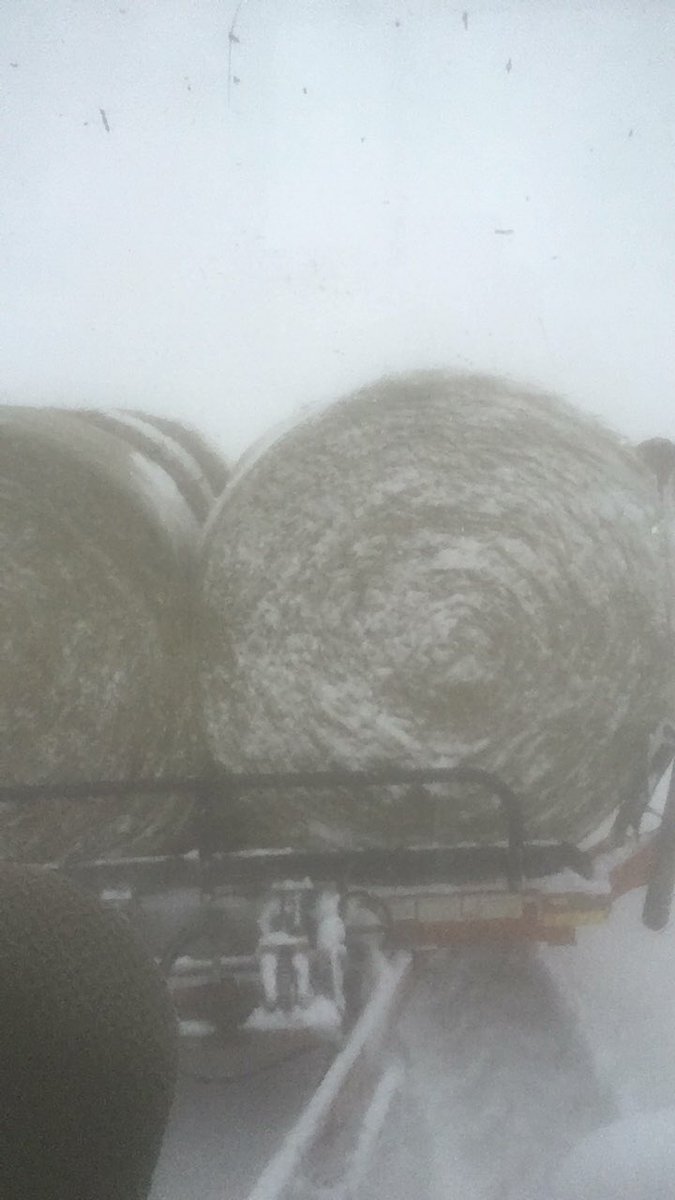 What a beautiful day to stack some crp bales <a href="/simply_gary/">♛ Gary M ♛</a>