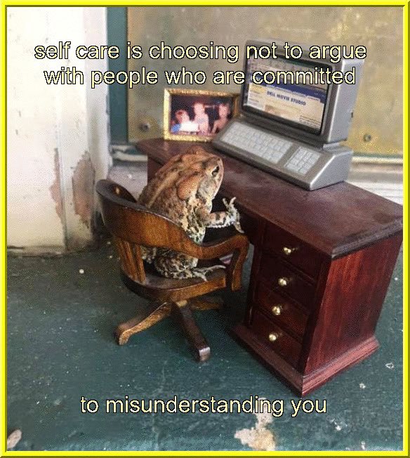tinehpeck's tweet photo. frog advice https://t.co/l7PYbJ4bgF