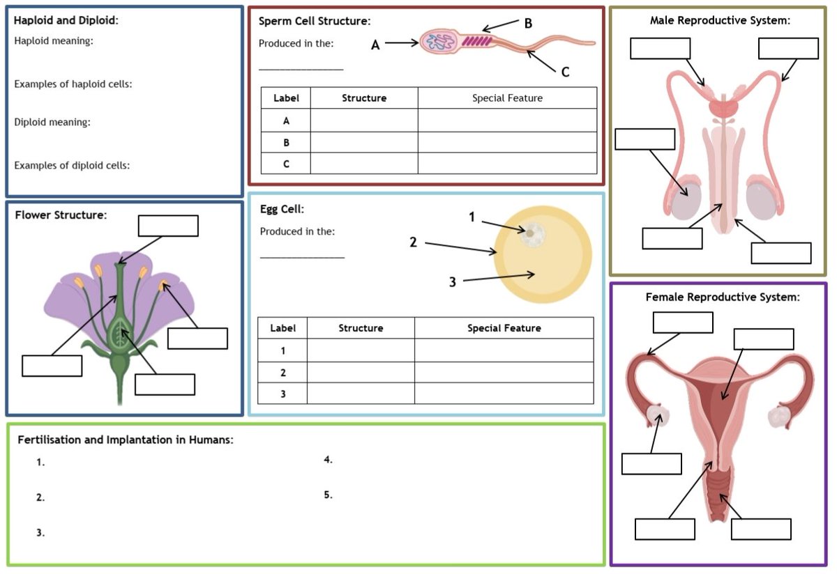 Mr Watson tweet media