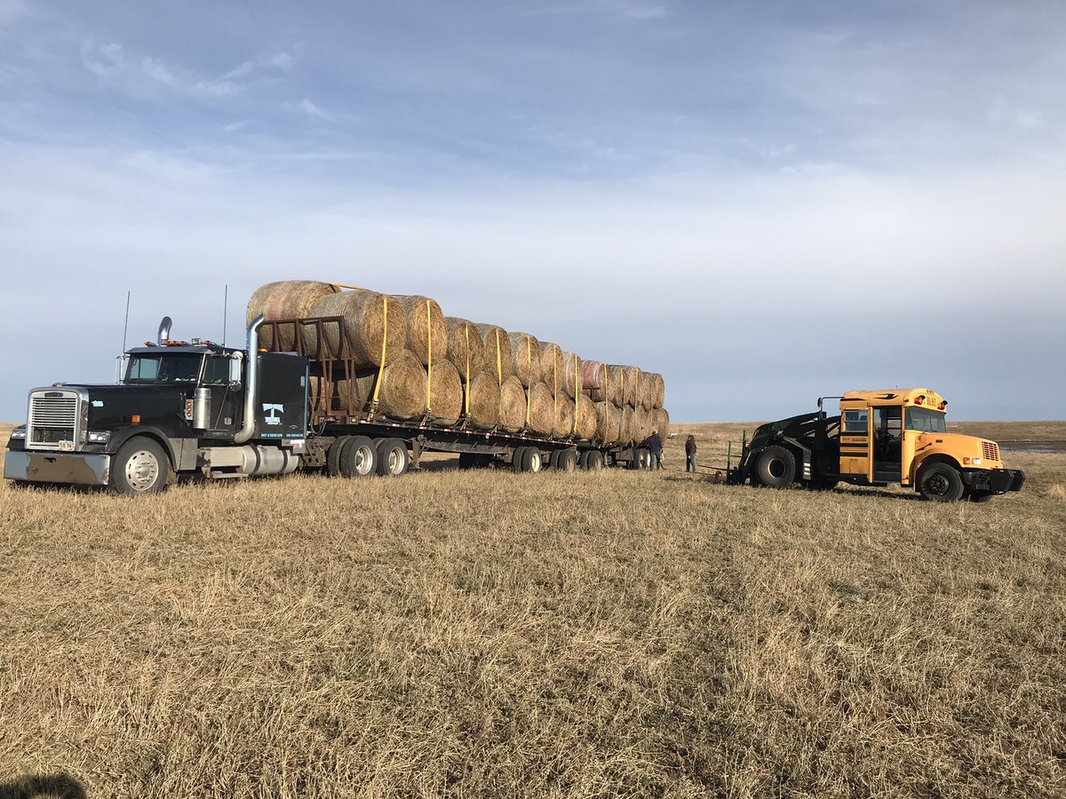 DallasCHenry1's tweet photo. Been a while since I loaded a train, but it gets the bales off the field in a hurry. #loaderbus #gothay https://t.co/bsEef17rJu