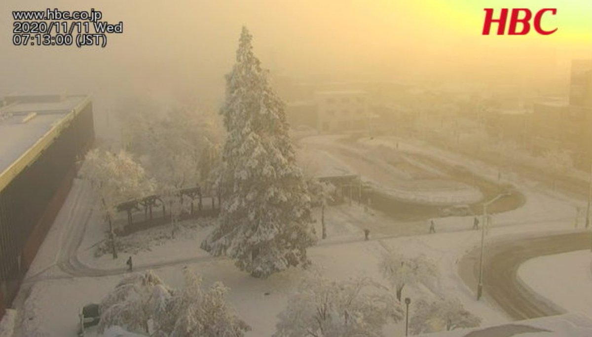 岩見沢 積雪