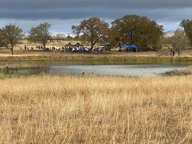 Retriever_News's tweet photo. We are at the 6th Series in Giddings, TX today at the National Open! It has been a day! Follow the blog for the dog work and find out who will be called back for the 7th! Photo is courtesy of Dan Partington "A view from the Gunner's Blind of the Sixth Series" #2020NRC https://t.co/ZinOVs1ios