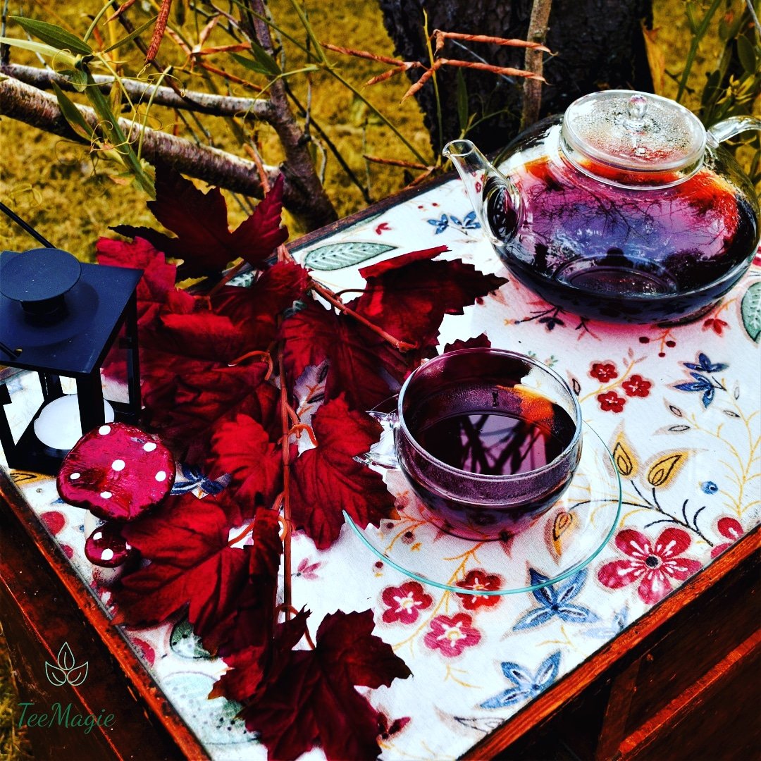 MagieTee's tweet photo. Ich wรผnsche euch einen wunderschรถnen Abend ๐Melde mich offiziell zurรผck aus der Versenkung. Die Freizeitbetreuung hat wirklich sehr viel Spaร gemacht.
#tee #teeliebhaber #teeliebe #Gesundheit #biotee #bio #nachhaltig #herbst #kalt #Rostock #kรผstenkind #meckpom #bleibtgesund https://t.co/rDH4Gvhygd