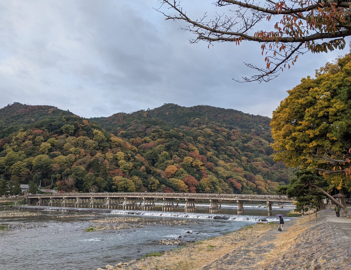 愛宕の人 絵を描く おはようございます 今朝の嵐山は小雨が降っていましたが紅葉はどんどん進んでいますね 週末は見頃になってますね 嵐山の天気予報 11日 水 晴最高14 最低8 降水確率10 嵐山 渡月橋 京都